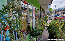 Naturkost Tilli - Shop Outside 04